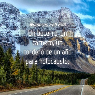 Picture 04 - Números 7:69 RVA - Un becerro, un carnero, un cordero de un año - Bible Verse Picture