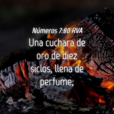 Picture 04 - Números 7:80 RVA - Una cuchara de oro de diez siclos, llena de - Bible Verse Picture