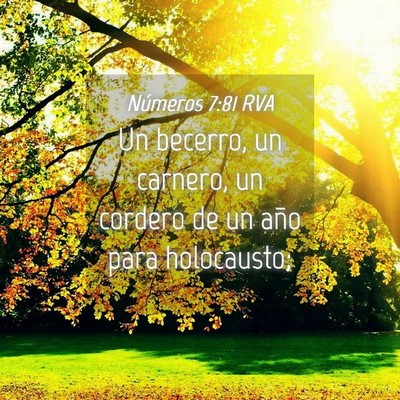 Picture 04 - Números 7:81 RVA - Un becerro, un carnero, un cordero de un año - Bible Verse Picture