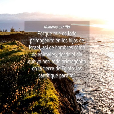 Picture 04 - Números 8:17 RVA - Porque mío es todo primogénito en los hijos de - Bible Verse Picture