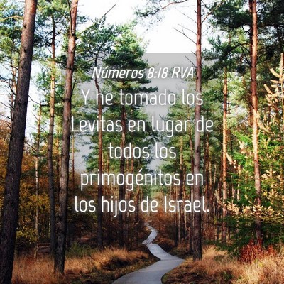 Picture 04 - Números 8:18 RVA - Y he tomado los Levitas en lugar de todos los - Bible Verse Picture