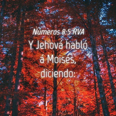 Picture 04 - Números 8:5 RVA - Y Jehová habló á Moisés, - Bible Verse Picture