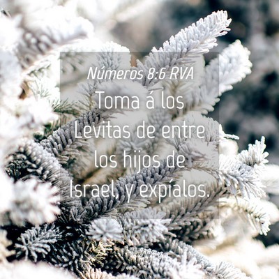 Picture 04 - Números 8:6 RVA - Toma á los Levitas de entre los hijos de Israel, - Bible Verse Picture