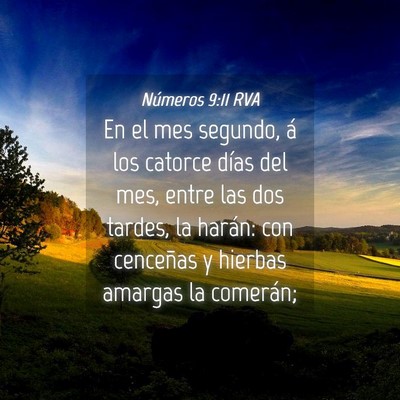 Picture 04 - Números 9:11 RVA - En el mes segundo, á los catorce días del mes, - Bible Verse Picture