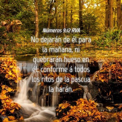 Picture 04 - Números 9:12 RVA - No dejarán de él para la mañana, ni quebrarán - Bible Verse Picture