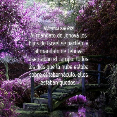 Picture 04 - Números 9:18 RVA - Al mandato de Jehová los hijos de Israel se - Bible Verse Picture