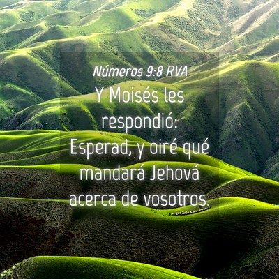 Picture 04 - Números 9:8 RVA - Y Moisés les respondió: Esperad, y oiré qué - Bible Verse Picture
