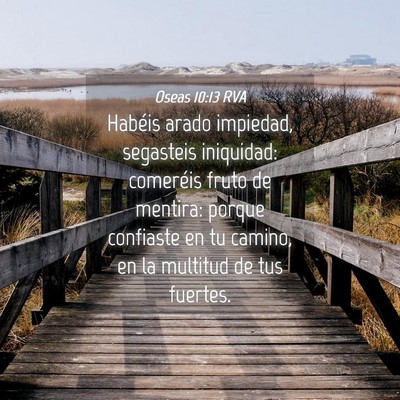 Picture 04 - Oseas 10:13 RVA - Habéis arado impiedad, segasteis iniquidad: - Bible Verse Picture