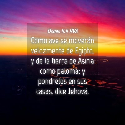 Picture 04 - Oseas 11:11 RVA - Como ave se moverán velozmente de Egipto, y de - Bible Verse Picture