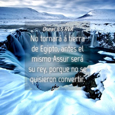 Picture 04 - Oseas 11:5 RVA - No tornará á tierra de Egipto, antes el mismo - Bible Verse Picture