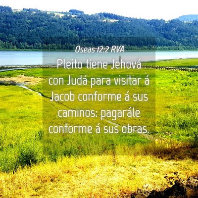 Picture 04 - Oseas 12:2 RVA - Pleito tiene Jehová con Judá para visitar á - Bible Verse Picture