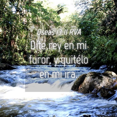 Picture 04 - Oseas 13:11 RVA - Díte rey en mi furor, y quitélo en mi - Bible Verse Picture