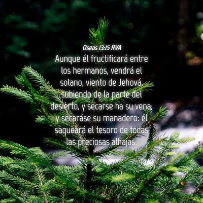 Picture 04 - Oseas 13:15 RVA - Aunque él fructificará entre los hermanos, - Bible Verse Picture