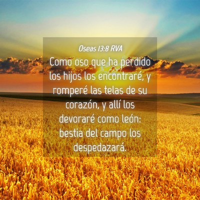 Picture 04 - Oseas 13:8 RVA - Como oso que ha perdido los hijos los - Bible Verse Picture