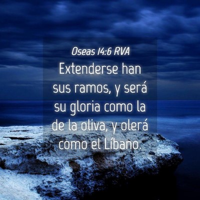 Picture 04 - Oseas 14:6 RVA - Extenderse han sus ramos, y será su gloria como - Bible Verse Picture