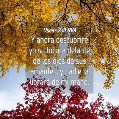Picture 04 - Oseas 2:10 RVA - Y ahora descubriré yo su locura delante de los - Bible Verse Picture