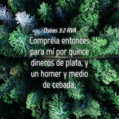 Picture 04 - Oseas 3:2 RVA - Compréla entonces para mí por quince dineros de - Bible Verse Picture
