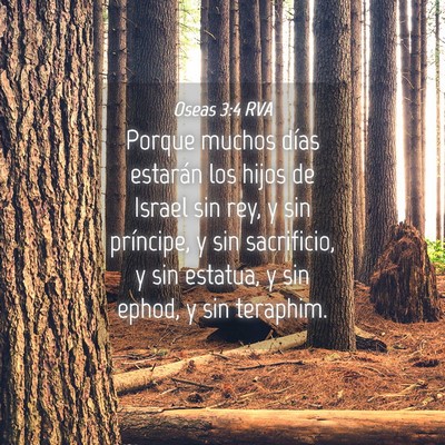 Picture 04 - Oseas 3:4 RVA - Porque muchos días estarán los hijos de Israel - Bible Verse Picture