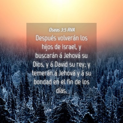 Picture 04 - Oseas 3:5 RVA - Después volverán los hijos de Israel, y - Bible Verse Picture