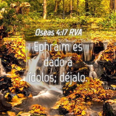 Picture 04 - Oseas 4:17 RVA - Ephraim es dado á ídolos; - Bible Verse Picture