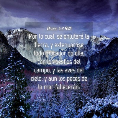 Picture 04 - Oseas 4:3 RVA - Por lo cual, se enlutará la tierra, y - Bible Verse Picture