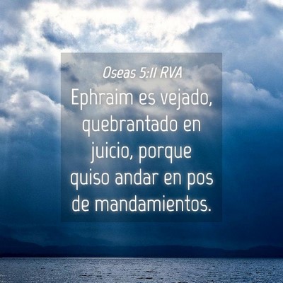 Picture 04 - Oseas 5:11 RVA - Ephraim es vejado, quebrantado en juicio, porque - Bible Verse Picture