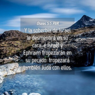 Picture 04 - Oseas 5:5 RVA - Y la soberbia de Israel le desmentirá en su - Bible Verse Picture