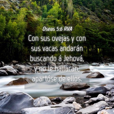 Picture 04 - Oseas 5:6 RVA - Con sus ovejas y con sus vacas andarán buscando - Bible Verse Picture