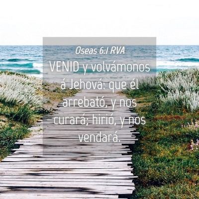Picture 04 - Oseas 6:1 RVA - VENID y volvámonos á Jehová: que él - Bible Verse Picture