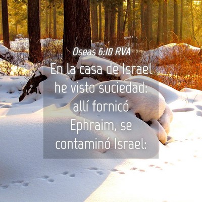 Picture 04 - Oseas 6:10 RVA - En la casa de Israel he visto suciedad: allí - Bible Verse Picture