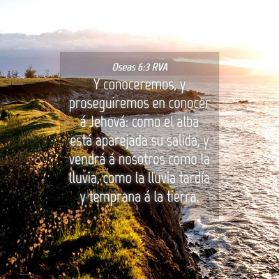 Picture 04 - Oseas 6:3 RVA - Y conoceremos, y proseguiremos en conocer á - Bible Verse Picture