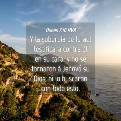 Picture 04 - Oseas 7:10 RVA - Y la soberbia de Israel testificará contra él - Bible Verse Picture