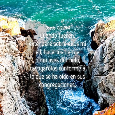 Picture 04 - Oseas 7:12 RVA - Cuando fueren, extenderé sobre ellos mi red, - Bible Verse Picture