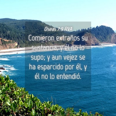 Picture 04 - Oseas 7:9 RVA - Comieron extraños su sustancia, y él no lo - Bible Verse Picture