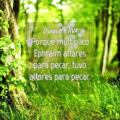 Picture 04 - Oseas 8:11 RVA - Porque multiplicó Ephraim altares para pecar, - Bible Verse Picture
