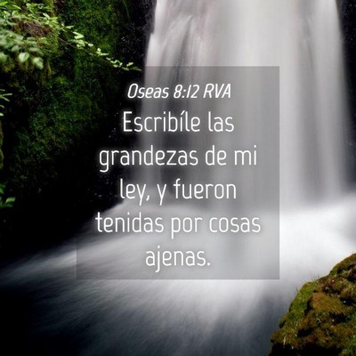 Picture 04 - Oseas 8:12 RVA - Escribíle las grandezas de mi ley, y fueron - Bible Verse Picture