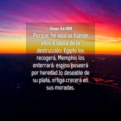 Picture 04 - Oseas 9:6 RVA - Porque, he aquí se fueron ellos á causa de la - Bible Verse Picture