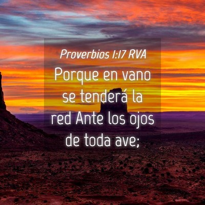 Picture 04 - Proverbios 1:17 RVA - Porque en vano se tenderá la red Ante los ojos - Bible Verse Picture