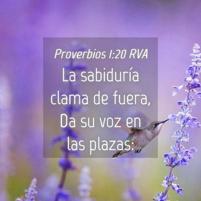 Picture 04 - Proverbios 1:20 RVA - La sabiduría clama de fuera, Da su voz en las - Bible Verse Picture