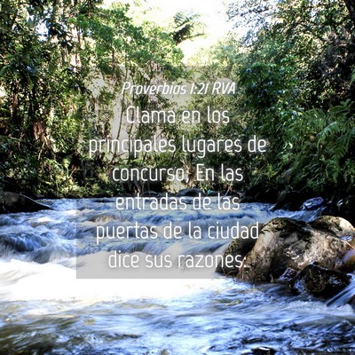 Picture 04 - Proverbios 1:21 RVA - Clama en los principales lugares de concurso; En - Bible Verse Picture
