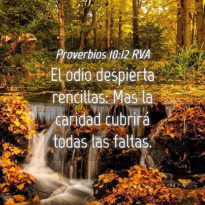 Picture 04 - Proverbios 10:12 RVA - El odio despierta rencillas: Mas la caridad - Bible Verse Picture