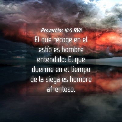 Picture 04 - Proverbios 10:5 RVA - El que recoge en el estío es hombre entendido: - Bible Verse Picture