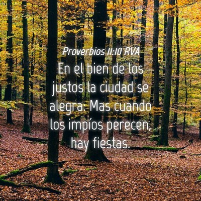 Picture 04 - Proverbios 11:10 RVA - En el bien de los justos la ciudad se alegra: Mas - Bible Verse Picture