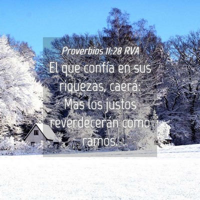 Picture 04 - Proverbios 11:28 RVA - El que confía en sus riquezas, caerá: Mas los - Bible Verse Picture