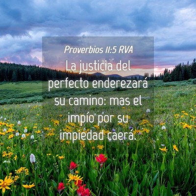 Picture 04 - Proverbios 11:5 RVA - La justicia del perfecto enderezará su camino: - Bible Verse Picture