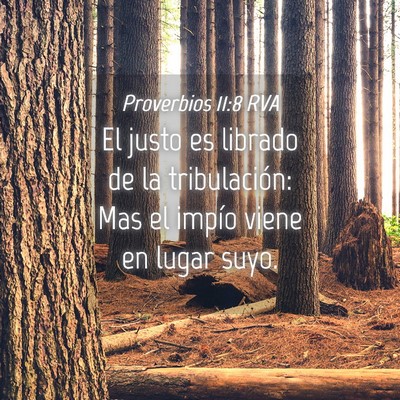 Picture 04 - Proverbios 11:8 RVA - El justo es librado de la tribulación: Mas el - Bible Verse Picture