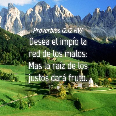 Picture 04 - Proverbios 12:12 RVA - Desea el impío la red de los malos: Mas la raíz - Bible Verse Picture