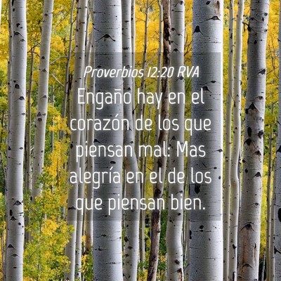 Picture 04 - Proverbios 12:20 RVA - Engaño hay en el corazón de los que piensan - Bible Verse Picture