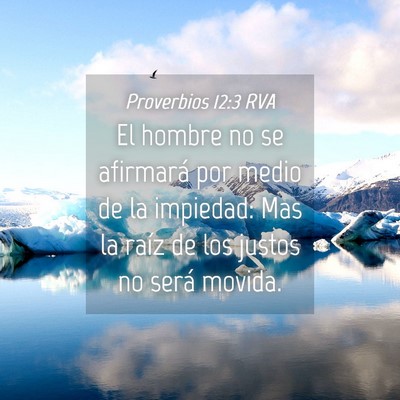 Picture 04 - Proverbios 12:3 RVA - El hombre no se afirmará por medio de la - Bible Verse Picture