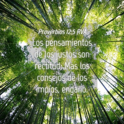 Picture 04 - Proverbios 12:5 RVA - Los pensamientos de los justos son rectitud; Mas - Bible Verse Picture